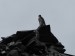 Click to go to Llanberis page
